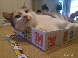 12491851_1495134307459112_8145833963368406568_o