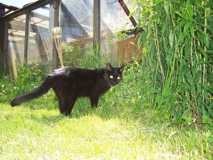 12493967_1495134634125746_3969493601786006131_o